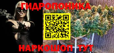 первитин Гусев
